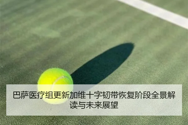 巴萨医疗组更新加维十字韧带恢复阶段全景解读与未来展望